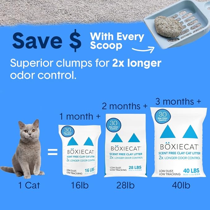 Boxie® Unscented 30 Day Natural Odor Control Cat Litter, 16lb Clumping Clay Kitty Litter (Pack of 2)
