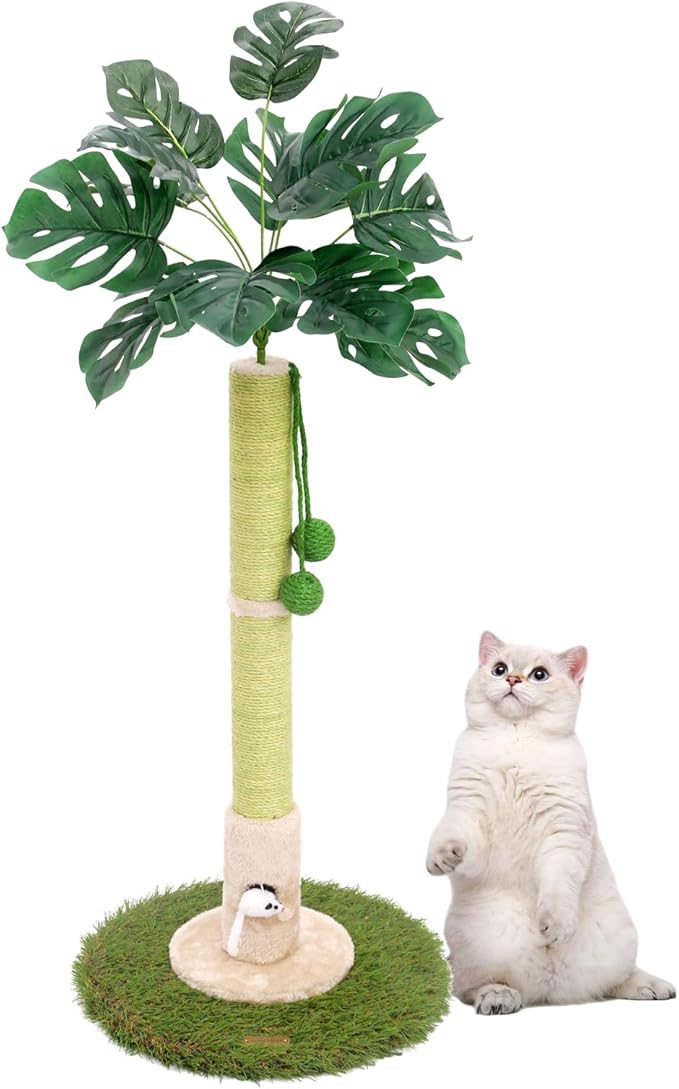 Cat Scratching Posts Cat Trees 35.43" Tall with Sisal Rope Cat Toy and Hanging Ball for Indoor,Wooden Palm Tree Cat Scratch Pole for All Cat (LightGreen)