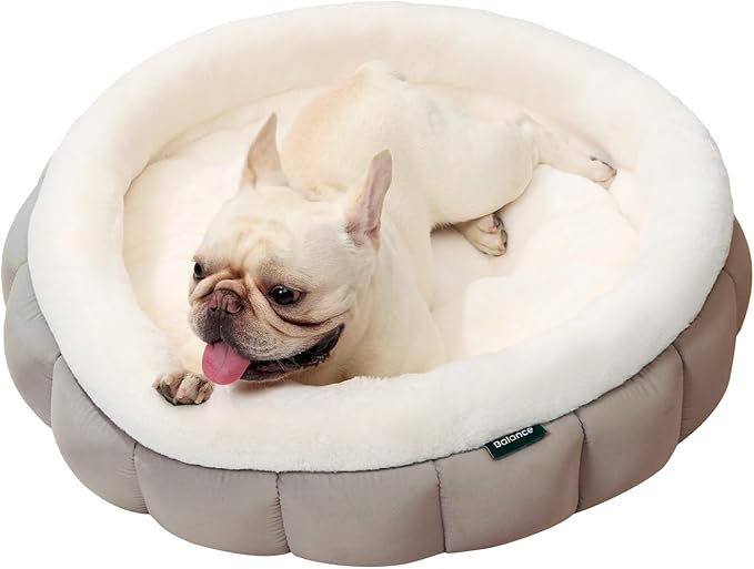 BALANCE Round Cat Beds for Indoor Cats - Donut Dog Bed for Medium Dogs, Washable Medium Pet Bed, Round Fluffy Plush Faux Fur Cat Bed with Anti-Slip Bottom