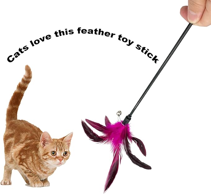Cat Wand Toy Feather Stick Cat Toys, 6 PCS Cat Feathers Wand Toy, Interactive Cat Toy Feather Wand for Indoor Cats