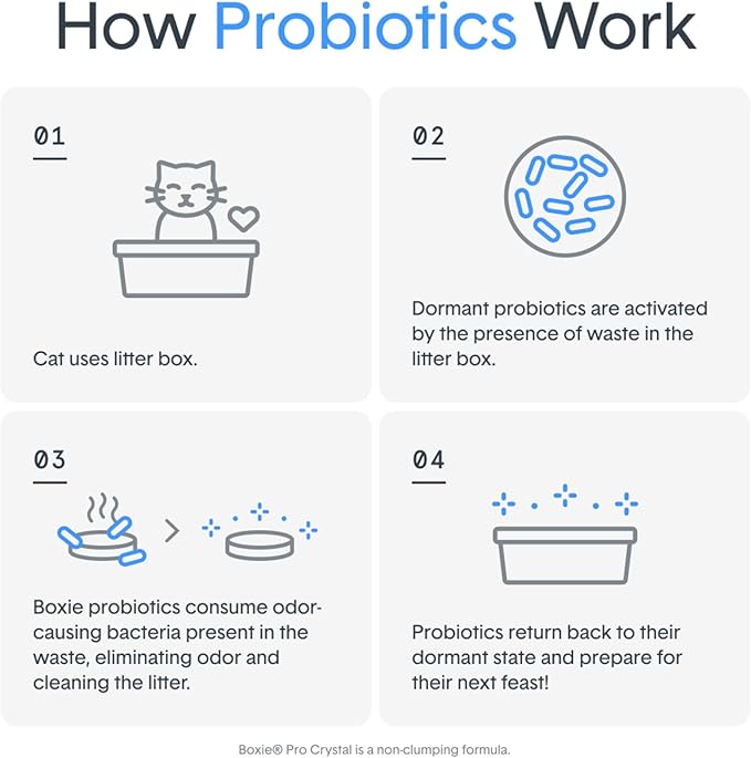 Boxie® Pro™ 40 Day Probiotic Odor Control Non-Clumping Crystal Cat Litter, 6 lb, Self-Cleaning, MicroDry™ Crystals, 99.9% Dust-Free, Long-Lasting, Health Benefits for Multi-Cat Homes