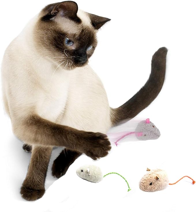 Cat Toys Set, Cat Retractable Teaser Wand, Catnip Fish, Interactive Cat Feather Toy, Mylar Crincle Balls, Two Cotton Mice, Four Fluffy Mouse