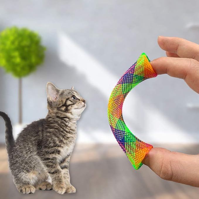 maxin 30 Pcs Cat Spring Toys Set, Plastic Colorful Cat Springs Tube and Cat Spiral Spring Pet Toys for Swatting, Biting, Hunting Kitten Interactive Toys