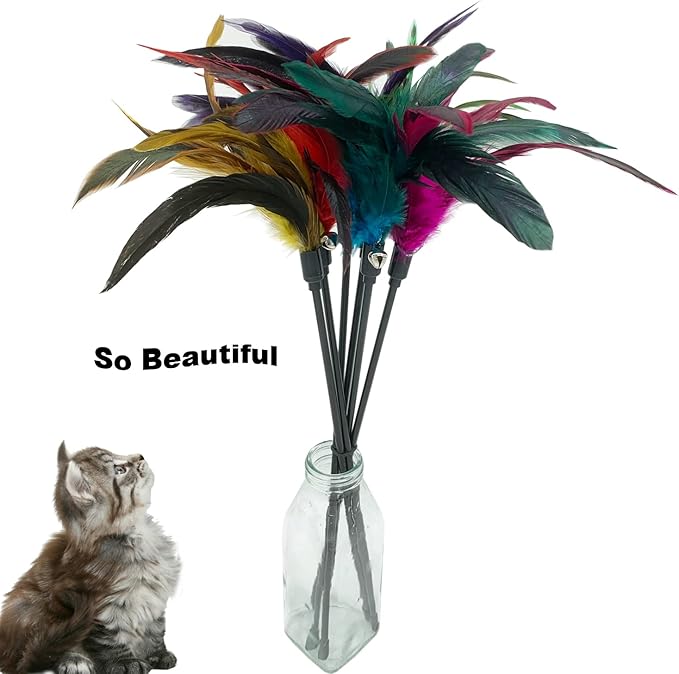 Cat Wand Toy Feather Stick Cat Toys, 6 PCS Cat Feathers Wand Toy, Interactive Cat Toy Feather Wand for Indoor Cats