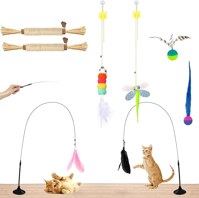 Interactive Cat Toys for Indoor Cats,4PCS Retractable Cat Feather Toy, 2PCS Silvervine Sticks Catnip Toys for Teeth Cleaning,2PCS Bouncy Ball Cat Toy w/Tail,Kitten Toys for Chasing Exercise