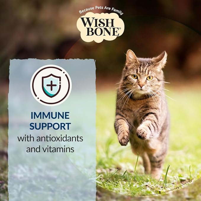 Wishbone Roost New Zealand Chicken, Gluten Free, Grain Free Dry Cat Food - Premium Chicken Recipe Cat Food for Overall Pet Health - 4 lb