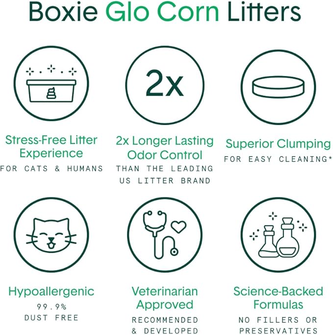 Boxie® Glo™ Natural Attractions 30 Day Odor Control Clumping Corn Cat Litter, 6.5 lb, 99.9% Dust-Free, Plant-Based, Lightweight, Strong Clumping, UV Light Attractant for Litter Box Use
