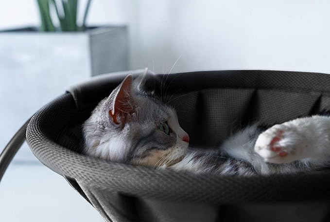MW Cat Bed Dog/Pet Hammock Bed Free-Standing Cat Sleeping Cat Supplies Pet Supplies Wash Stable & Breathable Indoors Outdoors (Black)