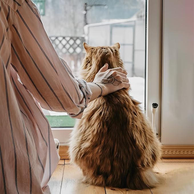 BOXCASA Angel Cat Memorial Gift Stained Glass,Angel Wings Cat Stained Glass Window Hanging,Cat Sympathy Gifts for Cat Lovers,Loss of Cat Sympathy Gift,Pet Memorial Gifts Cat Gift for Women