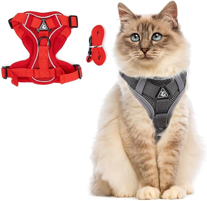 PetnBeyond Kitten Harness and Leash Set - Secure, Comfortable Control with Breathable Mesh Jacket - Adjustable Vest for Safe Walks with Reflective Strips - Kitty Escape Proof Kit (Small, Red)