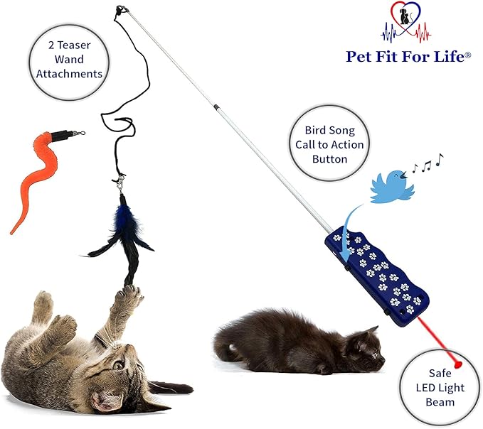 Pet Fit For Life Rechargeable Pet-Safe Combination LED Chaser and Cat Teaser Wand with Feather Toy and Interactive Squiggly Worm - Mimics Bird Chirping Sounds