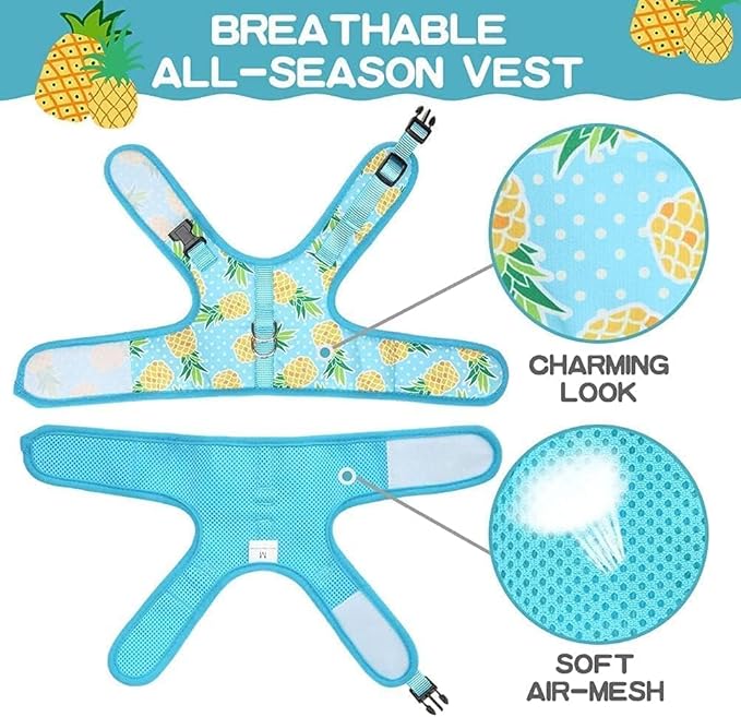 BINGPET Cat Harness with Leash Escape Proof - Fashionable Mesh Cat Dog Walking Harness Leads, Adjustable for Kitties Puppies Small Animals