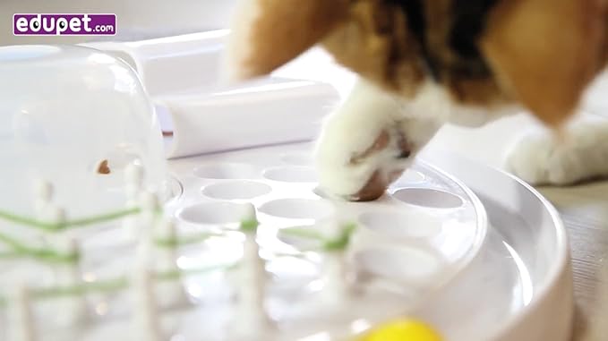 Cat-Center - 7-in-1 Pet Activity Center, Cat Toy Game, Educate & Entertain Your Pet, Durable & Dishwasher Safe, Multi Play Toy