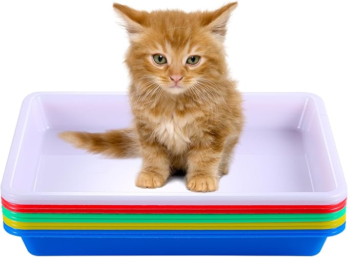 10pcs Kitten Litter Box, Plastic Cat Litter Trays Colorful Kitten Litter Pan Cat Waste Tray for Indoor Kittens (5 Colors)