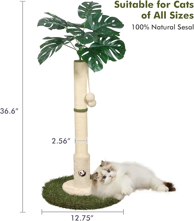 Cat Scratching Posts Cat Trees 35.43" Tall with Sisal Rope Cat Toy and Hanging Ball for Indoor,Wooden Palm Tree Cat Scratch Pole for All Cat（White