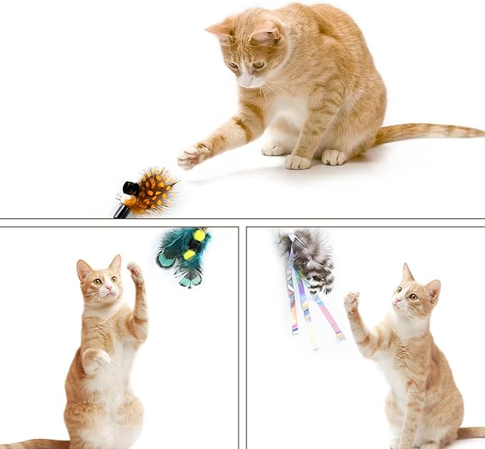 Cat Insect Feather Toys Replacement Cat Toy Wand Refills, 6 Pieces Natural Insect Cat Toy Feathers Refill, Interactive Cat Teaser Wand Attachments, with Bell