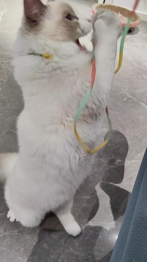 Fashion's Talk Cat Wand Interactive Fabric Teaser Wand Kitten, Christmas Ribbons Wand Rainbow Teaser Toys for Indoor Cats Kitty Colorful Cat Teaser Wand