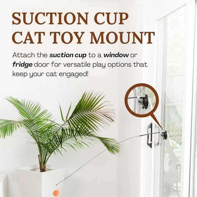 Cat Toys Set Cat Fishing Pole Toy Retractable Cat Wand Toy Suction Cup Cat Toys for Indoor Cats Door Hanging Cat Toy Cat String Toy Cat Teaser Wand Hanging Cat Toy Cat Feather Toy Cat Toy Wand Kitten