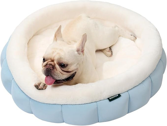 BALANCE Round Cat Beds for Indoor Cats - Donut Dog Bed for Medium Dogs, Washable Medium Pet Bed, Round Fluffy Plush Faux Fur Cat Bed with Anti-Slip Bottom