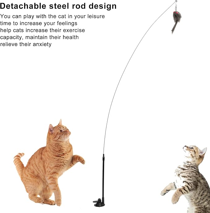 GOTOTOP Cat Toy, Interactive Cat Toy Angel with Spring and Detachable Suction Cup Bell Wand Toy for Cat for Play, Exercise, Activity and Fun(Squirrel)