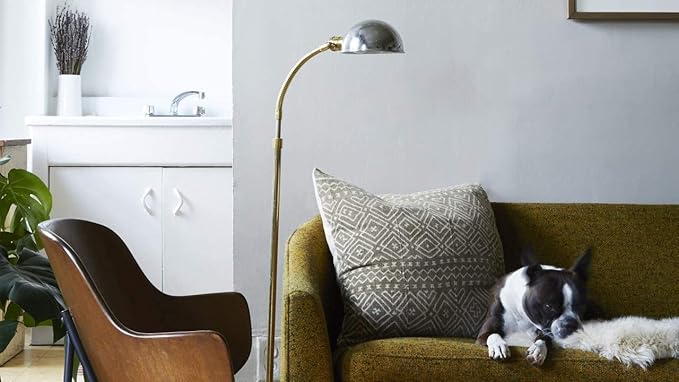 Capture Pet Stain & Odor Neutralizer - Pet Stain Remover for Carpet, Wood, Leather, Rug, Bed, Couch, Car, Upholstery, Clothes, Curtains, Wall, Floor, Concrete - 32oz Portable Spray Bottle