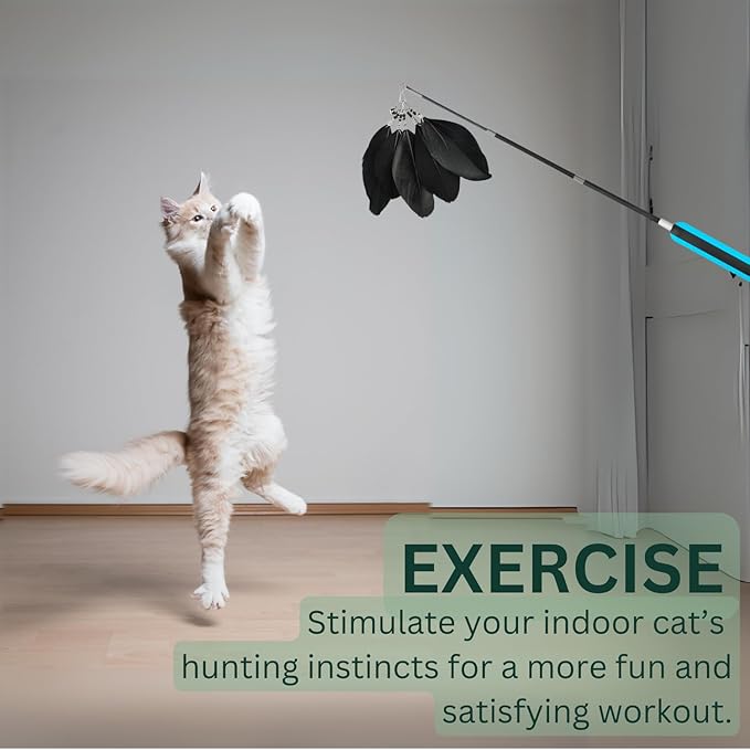 Interactive Cat Toy - Kitten Toys - Cat Wand Toy - Indoor Cat Toys - Cat Exercise - Cat Feather Wand- Cat Stick Toy - Cat Teaser Wand - Cat Worm Toy - Cat Play - Cat Toy Stick - Wand Cat Toy