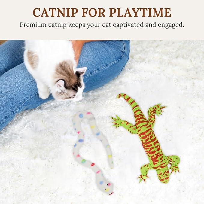 Cat Toys Bundle Snake Lizard Catnip Cat Nip Chew Toy Suction Cat Toy Feather Cat Toys Interactive Catnip for Cats Litten Toy Cat Nip Toys for Indoor Cats Cat Chew Toys for Indoor Cats Toys for Kittens