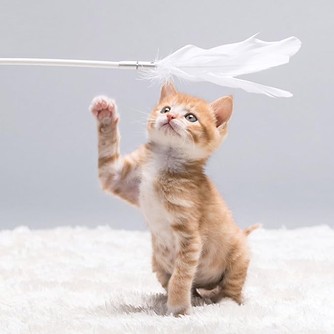 Pidan Studio Shake-Shake Self Play Feather Teaser Cat Toy Self Adhesive/Suction - Entertain Your Cat While You're Away (White)