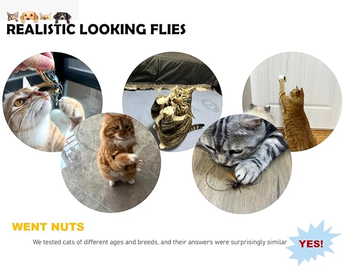 Cat Insect Feather Toys Replacement - 2 Pcs Handmade Natural Flies - Cat Toy Wand Refills - Interactive Kitten Teaser Wand Attachments - Cat Toys for Indoor Cats Play