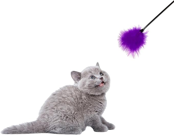 Dzrige Interactive Cat Toys Teaser Wand Black Long Sticks with Purple Soft Plush Tips Funny Pet Feather Supplies for Indoor Bored Cat and Kitten Play Training Interactive Toys