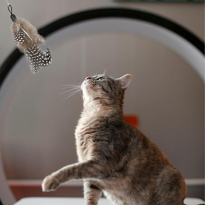 8 Pieces Cat Feather Toys Replacement Cat Toy Wand Refills Cat Toy Replacement Natural Bird Feathers for Cat Toys