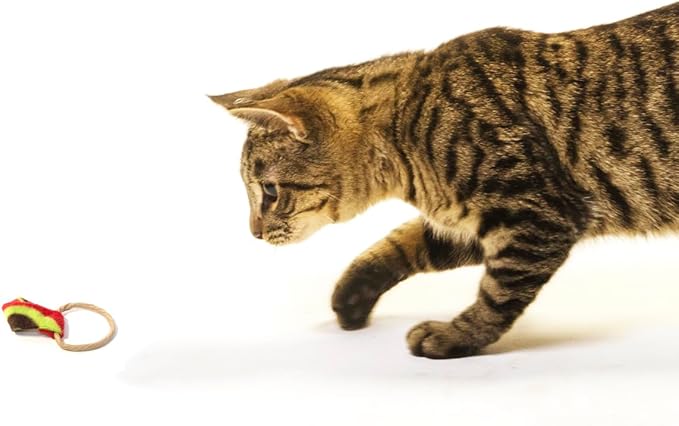 Cat Dancer Products Cat Chaser with Colorful Fleece, Interective Toy for Exercise with Ringtail Whisker & Bowtie (Pack of 7)