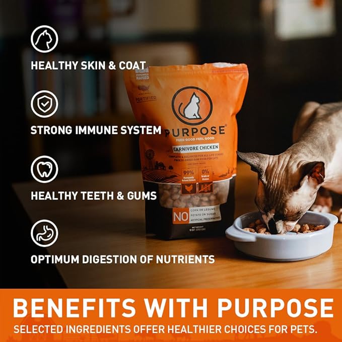 PURPOSE Freeze Dried Raw Cat Food, Grain Free Dry Cat Food, Complete Balanced Meal or Topper, Protein Rich Cat Food for All Breeds and Life Stages, Pure Chicken Recipe Mini Nibs Entrée, 9 oz, USA Made