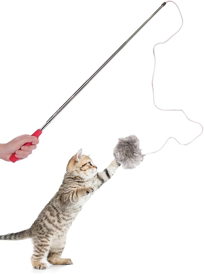 DUKES 8 Piece Cat Toy Set