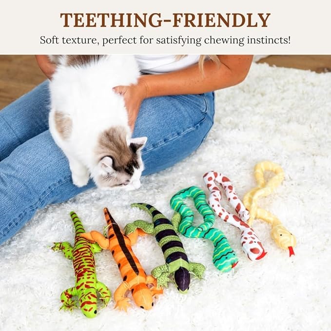 Cat Toys Catnip Toys for cats Cat Nip for Cats catnip toys for indoor cats Lizard Cat Toy Snake Cat Toy for Cats Interactive Cat Toy Cat Chew Toy Cat Chew Toys for indoor cats Kitty cat nip toys cat