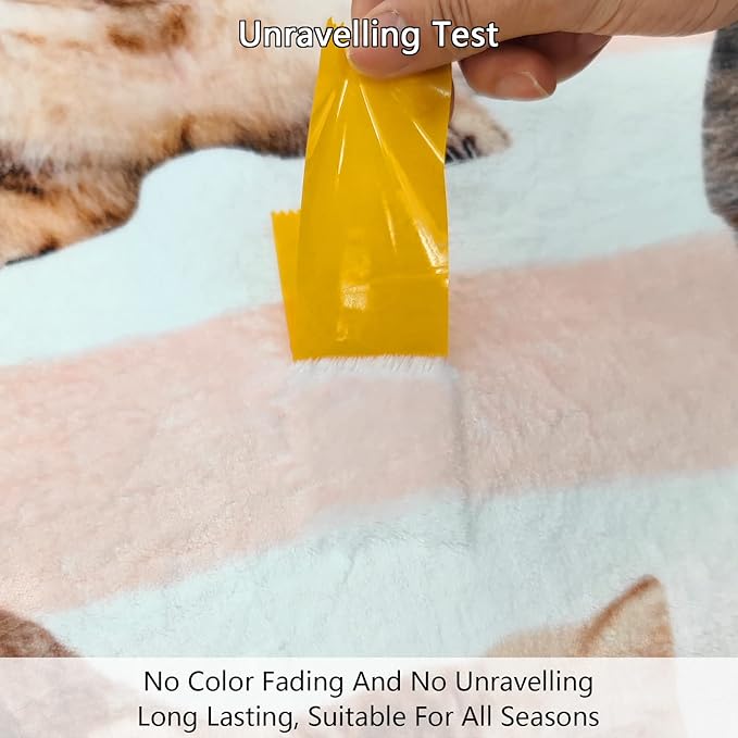 Fuzzy Throw Blanket 350 GSM Fleece Ultra-Soft Microfiber Blanket for Adults Kids Gift Couch, Sofa, Bed Cute Cat 80"x60"