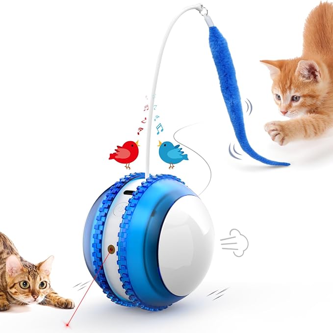 Cat Toys for Indoor Cats, Innovative Interactive Cat Toy Ball with Bird Chirping, USB Rechargeable Automatic Exercise Rolling Cat Toy for Bored Indoor Adult Cats Kittens, Blue/White