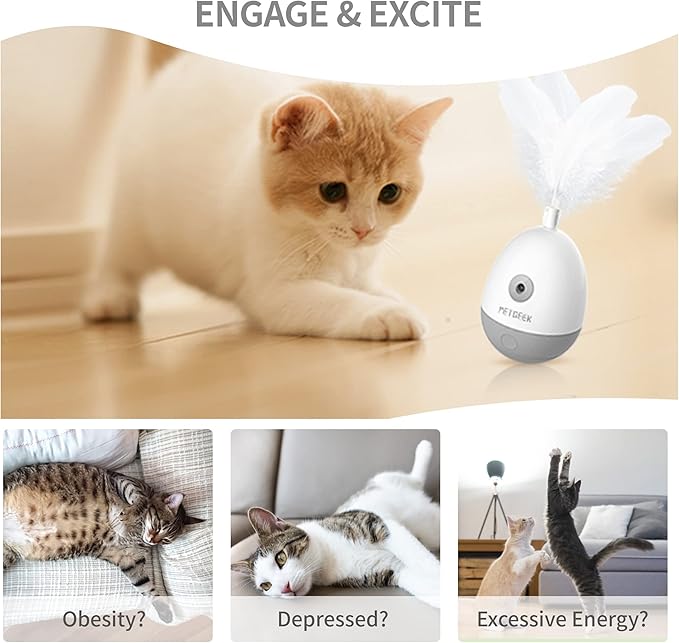 PETGEEK Laser Pointer Cat Toy Interactive Cat Toy for Indoor Cat Toys, Cat Laser Toy with Bird Squeaky, Cat Toy with Cat Wand Replacement, Best Gift for Birthday, Thanksgiving, Christmas, New Year