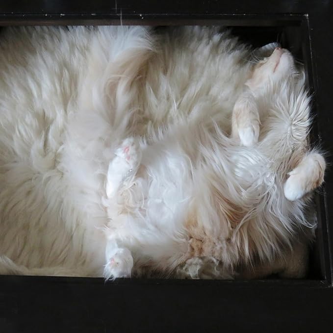 Fluffy Small Dog Cat Bed Mat Rug, Washable Super Soft Plush Faux Fur Warm Area Mat Pad for Indoor Pet Cat Dog Small Sleep Cushion