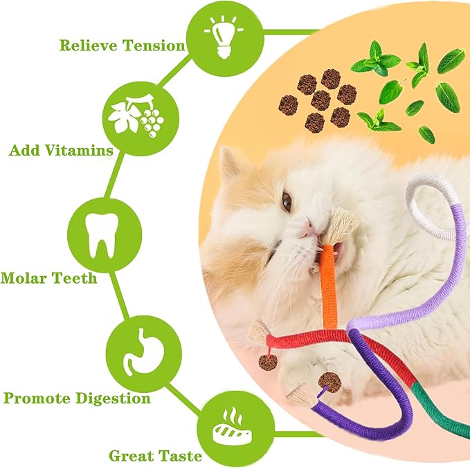Cat Toys, 3PCS Catnip Toy for Indoor Kitten Toys Cat Chew Stick for Dental Cleaning Teeth Cat Silvervine Rope Treat Kitty Feather Snack for for Kick Molar Scratch Self Play Interactive Boredom