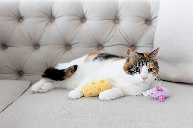 Pearhead Hide and Squeak Cat Toy Set, Crinkle and Rope Catnip Cat Toy Set, Cat Owner Playtime Pet Accessory, Pet Toys, Cat Teaser Toys, Cat Owner Pet Toy Sets, Must Have Pet Accessories For Pet Owners