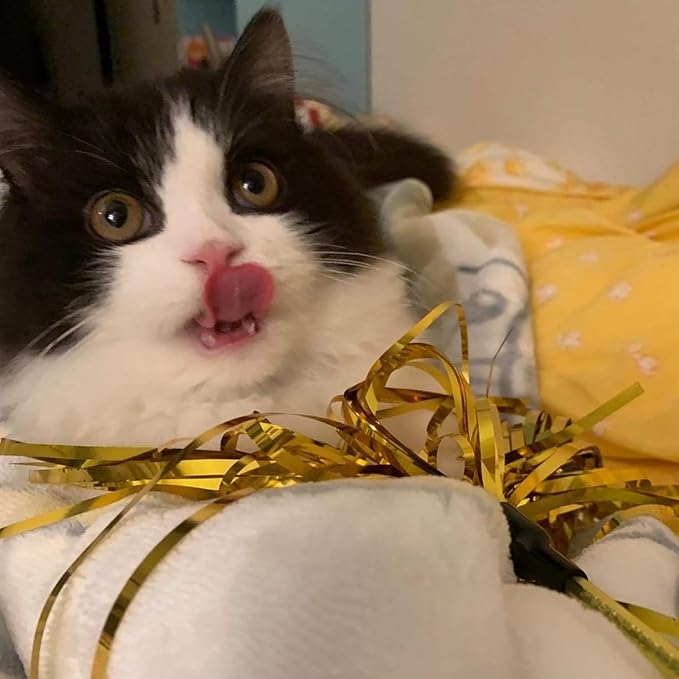 ADUCK Cat Toys Interactive Teaser Wand Toy with Tassels Worms Catcher for Cats Kitten, Pack of 3 (Gold + Blue + Pink)