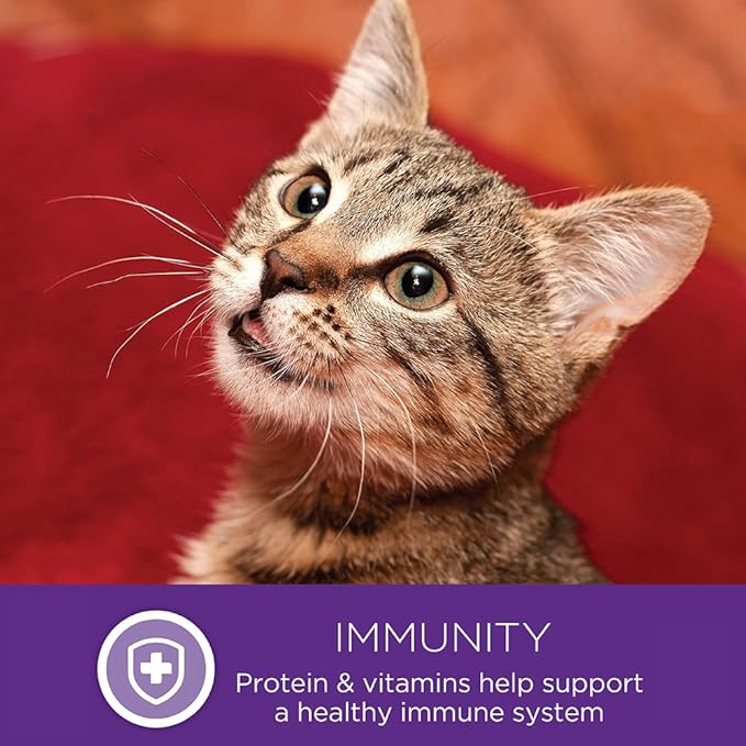 Wellness Healthy Indulgence Gravies Grain-Free Wet Cat Food, Made with Natural Ingredients and Quality Proteins, Complete and Balanced Meal, 3 oz Pouches (Chicken & Turkey in Gravy, 24 Pack)