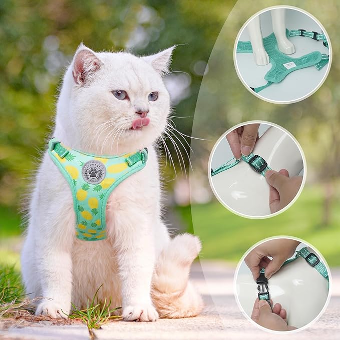 BEAUTYZOO Cat Harness and Leash Set for Walking Escape Proof, Neck Release Adjustable Harness for Kitten Puppy Small Medium Large Cats, Soft Cute Easy Control Small Cat Harness for Cats Boy and Girls