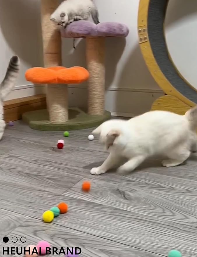 Kitten Toys, 31 Pcs Kitten Toy Pack for Indoor Kittens, Interactive Small Cat Toys to Keep Them Happy & Entertained