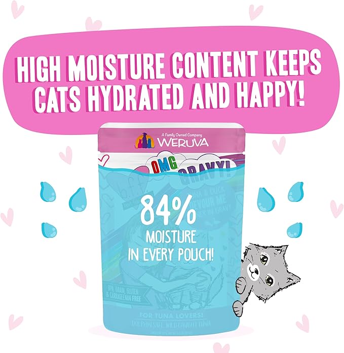 Weruva B.F.F. OMG - Best Feline Friend Oh My Gravy!, Tuna & Duck Devour Me with Tuna & Duck in Gravy Cat Food, 3oz Pouch (Pack of 12)
