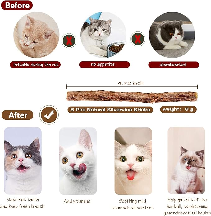 Fashion&cool Cat Wand Toy, 3pcs 16 Inch Natural Wooden Cat Teaser Wand with 5 Pcs Silvervine Sticks for Cat, Interactive Elastic String Cat Stick Pole Toy for Indoor Cats