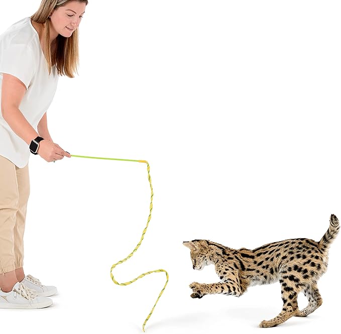 RompiCatz Rustlin' Mylar Teaser Wand and Interactive Cat Toy, Wiggler