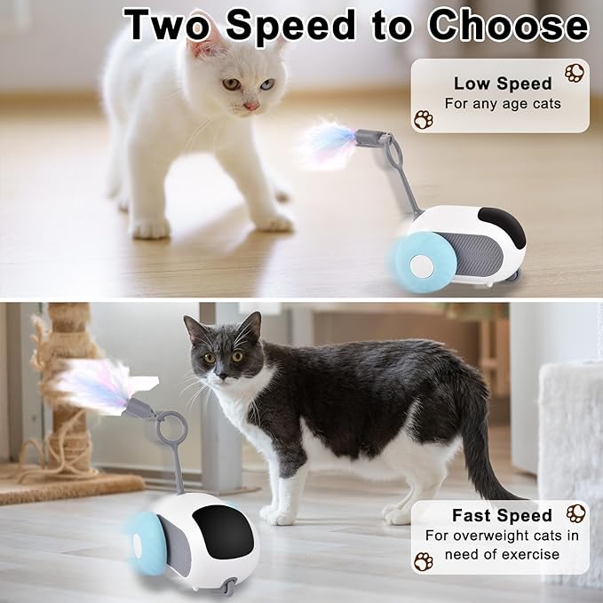 Petmolico Smart Interactive Cat Toy Remote Control Cat Exercise Toys for Bored Indoor Electronic Cat Toys Blue