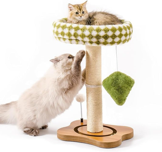 Mewoo Cat Scratching Post with Bed, Cat Tower with Cat Scratcher Post, Small Cat Tree for Indoor Cats, Sisal Cat Scratcher with Removable Cat Perch, Cat Ball Track and Kittens Toys (Green, Medium)